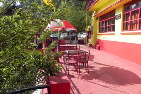 Apple Orchard Dhanaulti